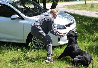 Жительница Новой Таволжанки пытается затащить собаку в автомобиль перед эвакуацией