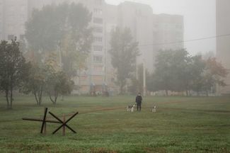 Житель Харькова выгуливает собаку ранним туманным утром 