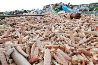 Остатки крабов на мусорной свалке рядом с поселком Териберка в Мурманской области 