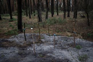 Кресты в Ирпенском лесу. Здесь похоронены мирные жители, погибшие во время боев за город