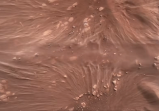 Поверхность Марса, снятая с камеры, установленной в нижней части ровера