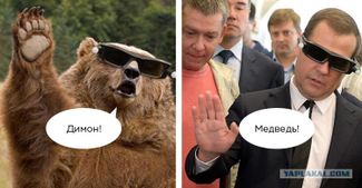 A bear saying “Dimon!” (a nickname for Dmitry) and Medvedev replying “Bear!”