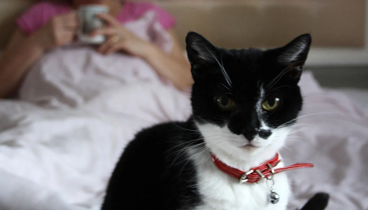 Фото: Nigel Lawrence / Alamy / Vida Press