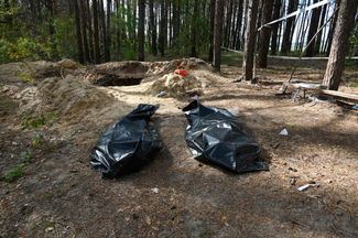 Мешки с телами, найденными в окрестностях Боровой