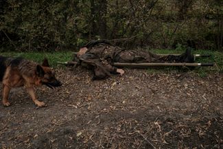 Носилки с телом российского солдата, найденным в Кирилловке