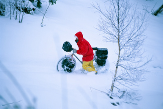 Шведка катит велосипед по снегу