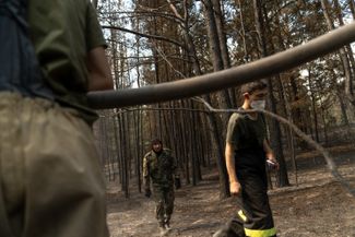 Firefighters put out the remnants of a forest fire in the Semei Ormany nature reserve, June 2023