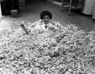 Работница парфюмерной фабрики Molinard Бернадетт Кохас сидит в лепестках роз. Грас, 26 мая 1955 года