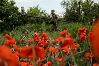 Военнослужащий 24-й отдельной механизированной бригады ВСУ в поле недалеко от линии фронта в Донецкой области