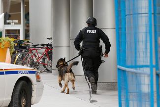 Полицейский с собакой бегут к месту происшествия.