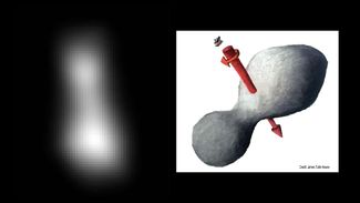 Слева: фотография Ультимы Туле, сделанная аппаратом «Новые горизонты». Справа: так предположительно выглядит астероид